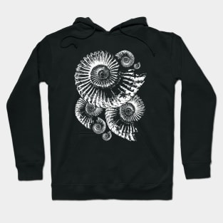 Fossil Ammonite Hoodie